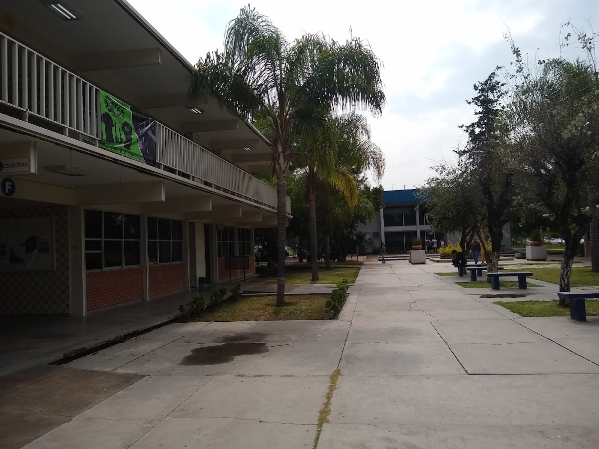 Technological Institute of León photo 4
