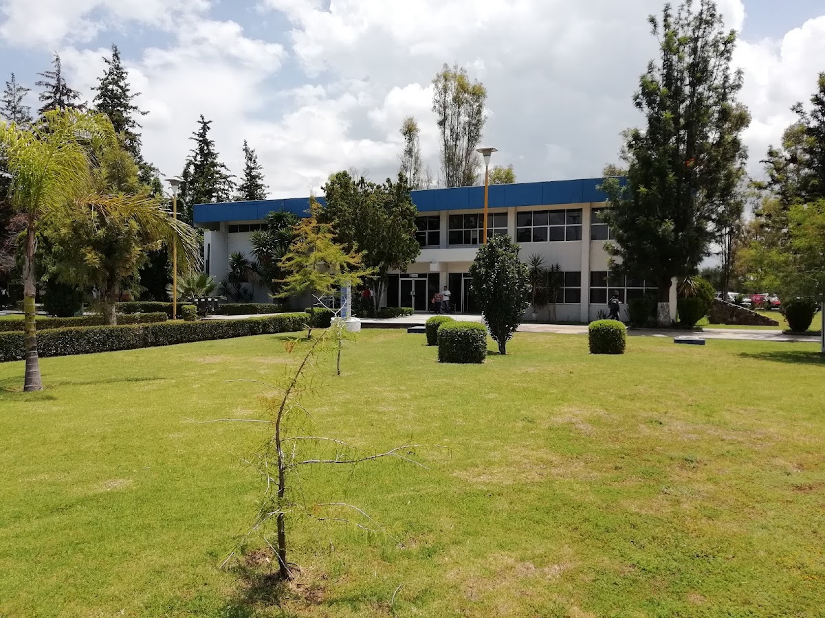 Technological Institute of León photo 5