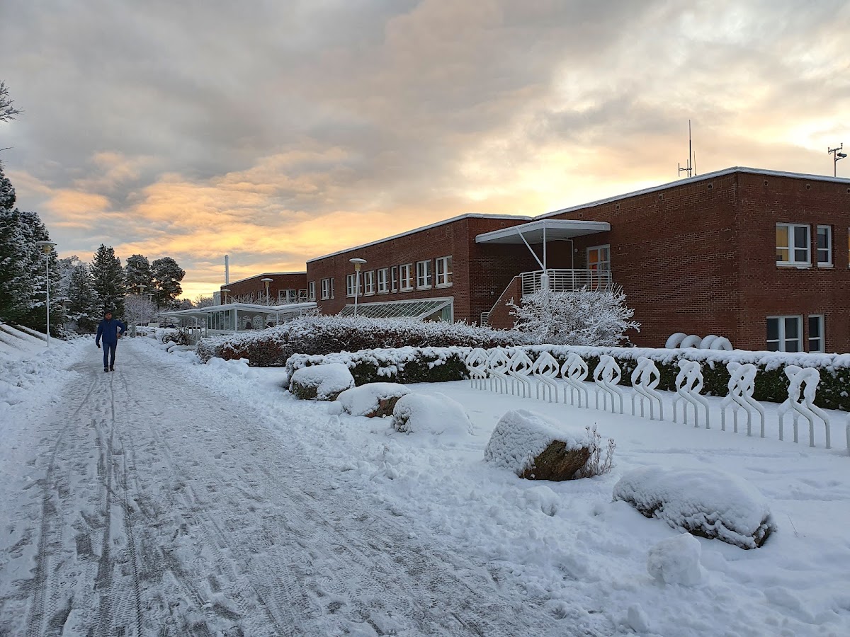 Molde University College photo 3