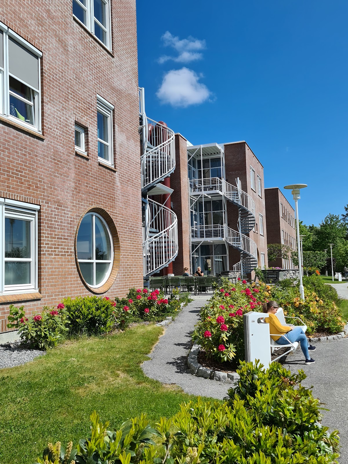 Molde University College photo 7