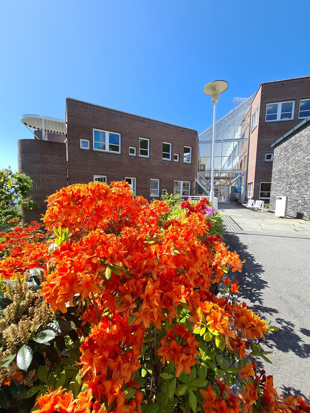 Molde University College photo 9