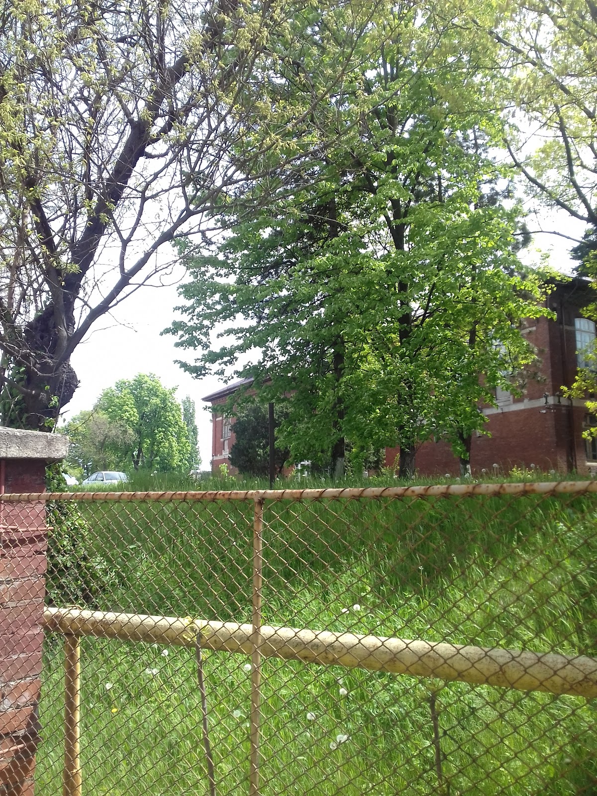 Military Technical Academy Ferdinand I photo 7