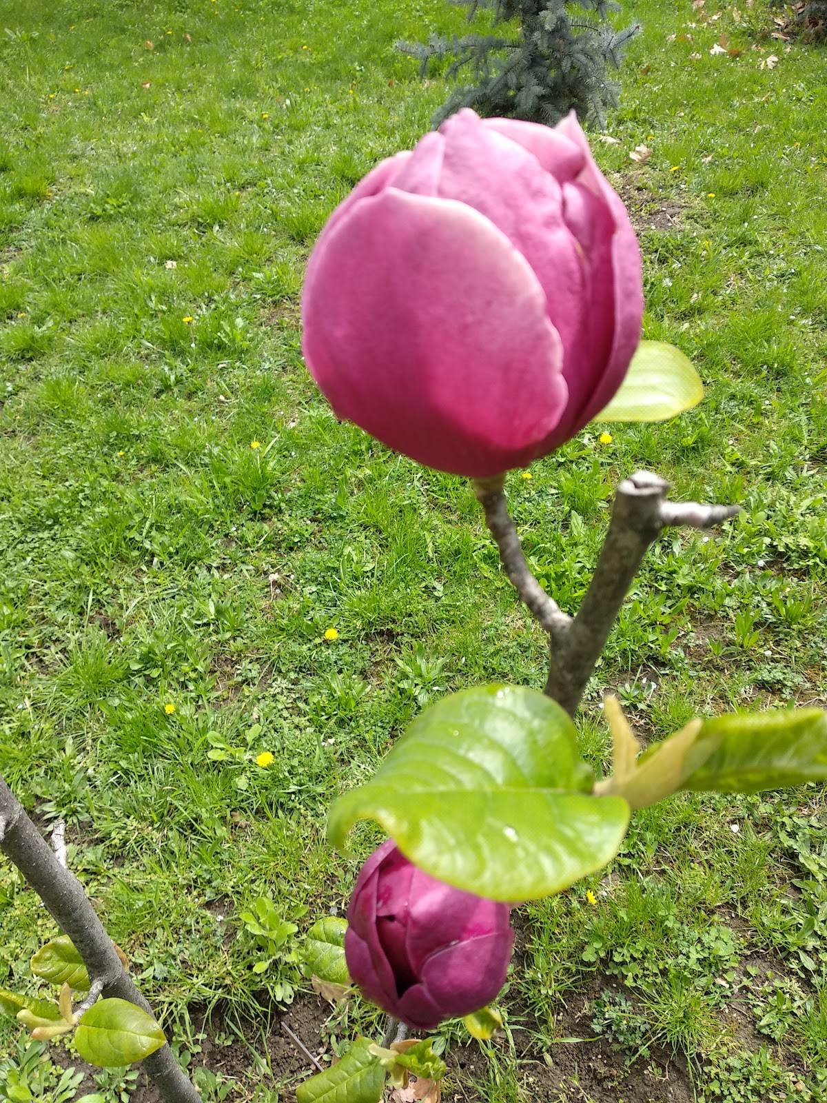 Military Technical Academy Ferdinand I photo 8