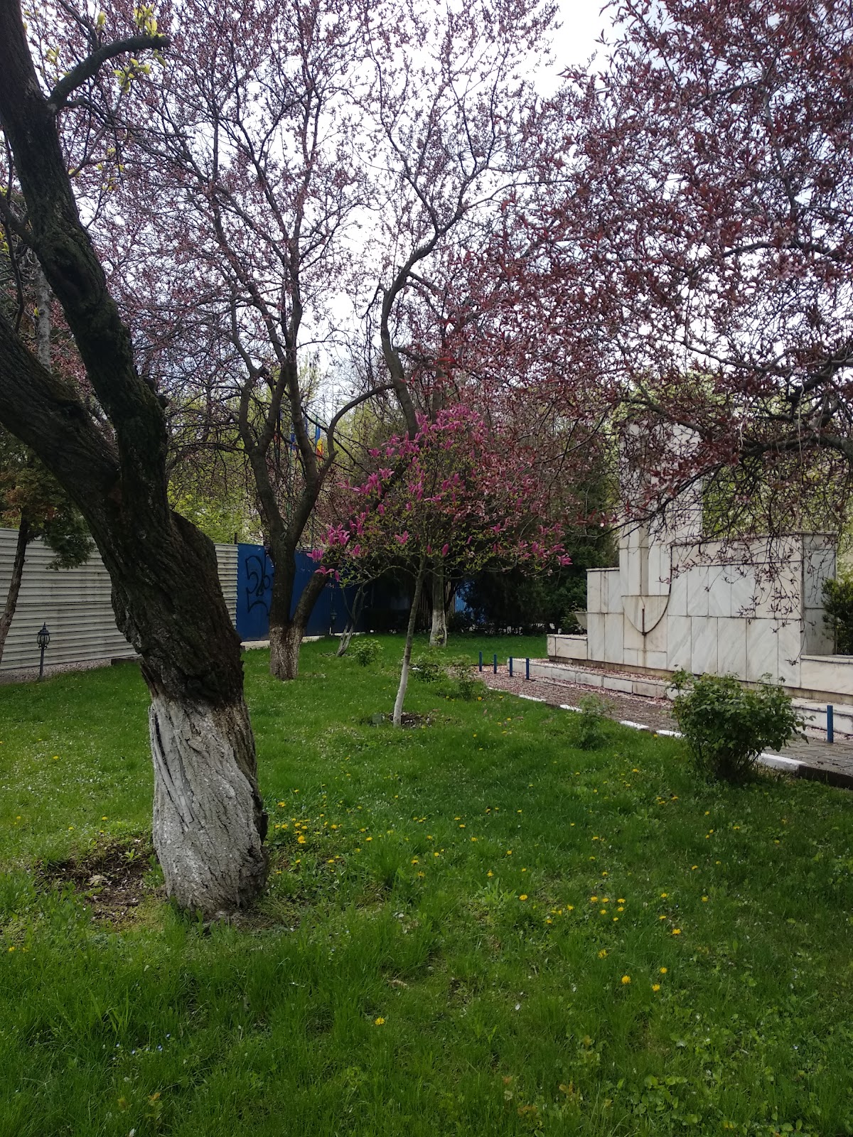 Military Technical Academy Ferdinand I photo 9