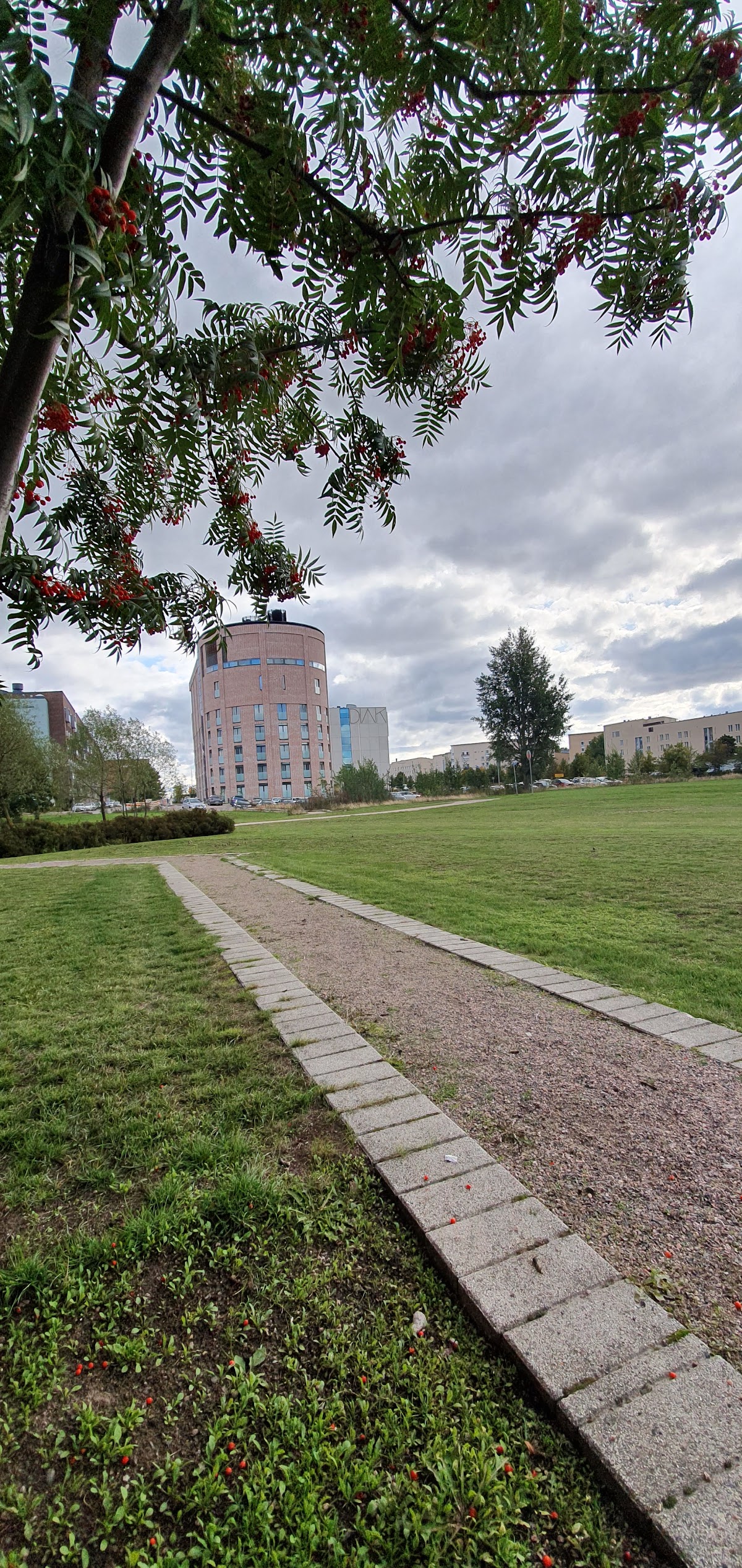 Diaconia University of Applied Sciences photo 9