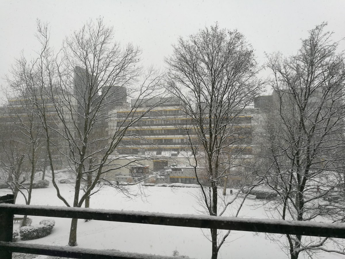 Universität Duisburg-Essen photo 4