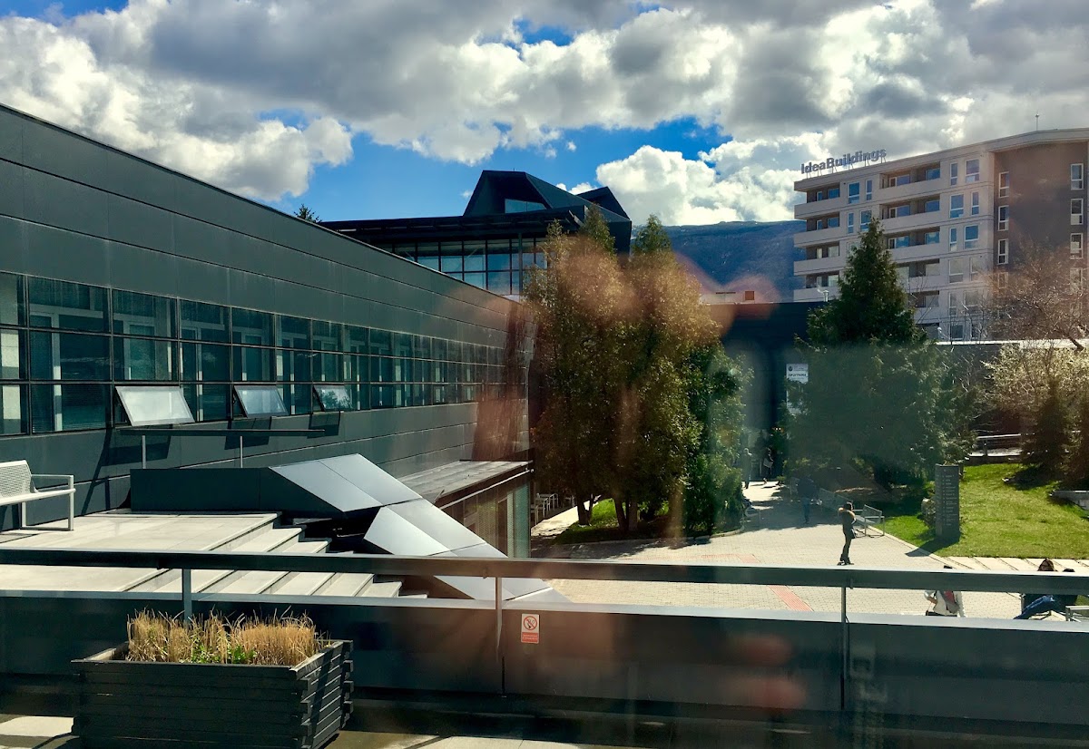 New Bulgarian University photo 2