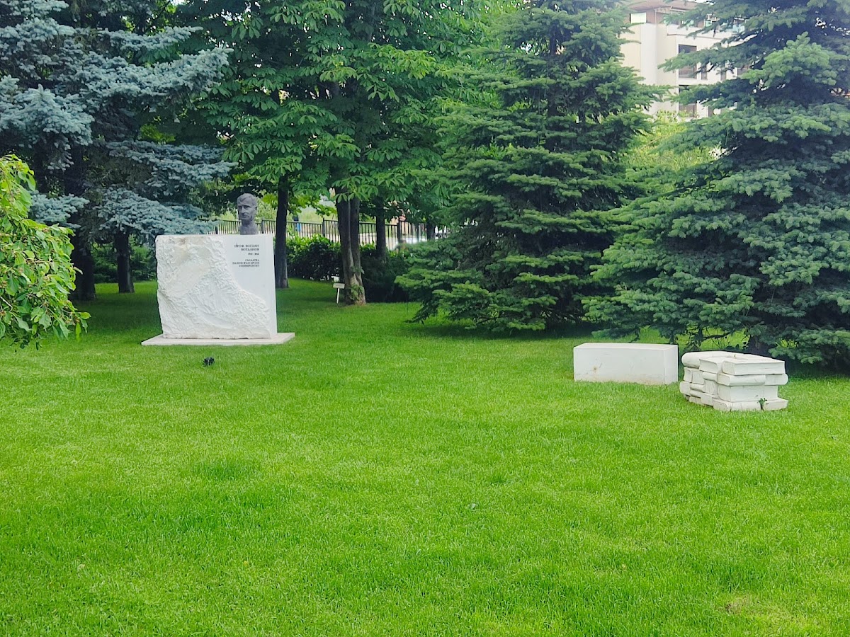 New Bulgarian University photo 8