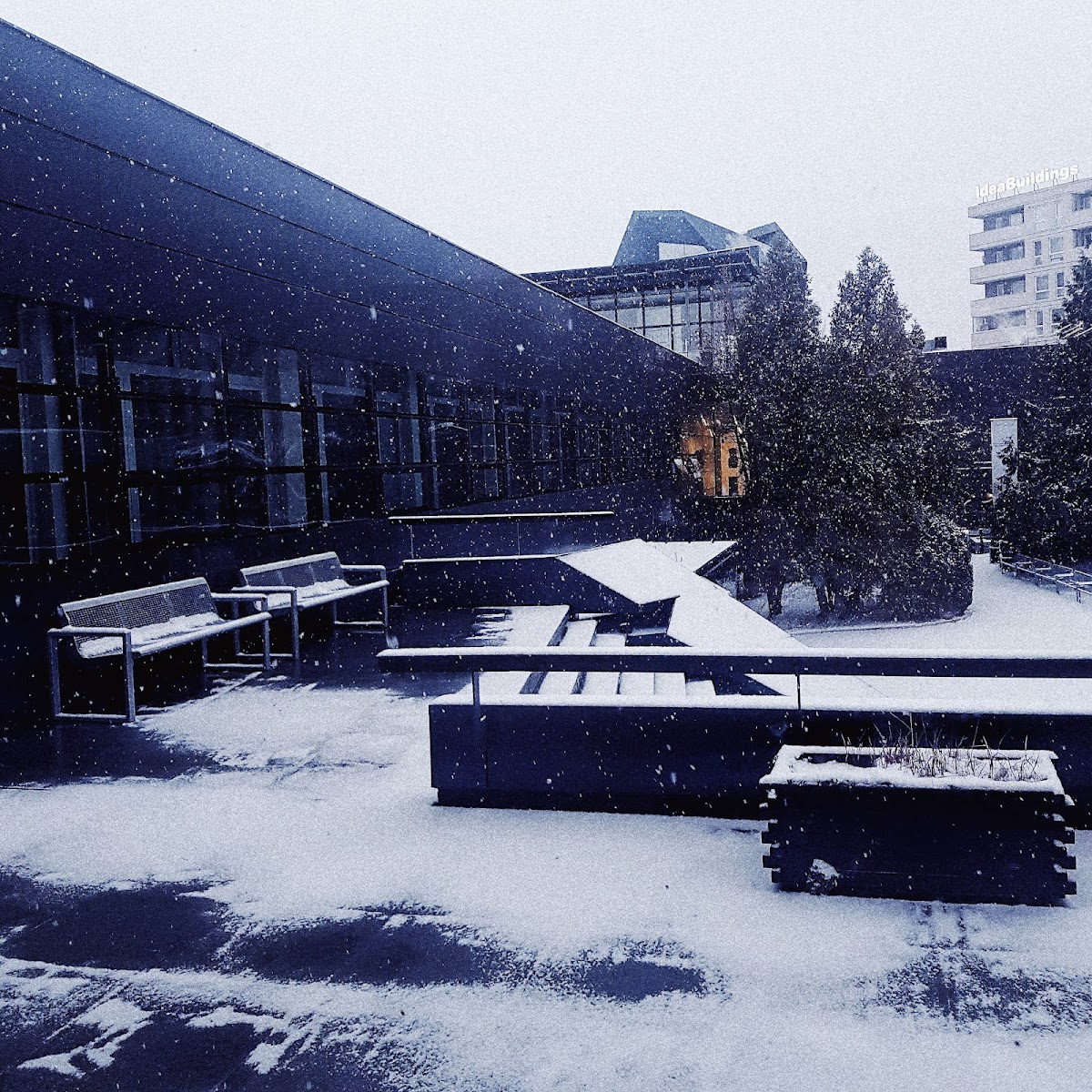 New Bulgarian University photo 9