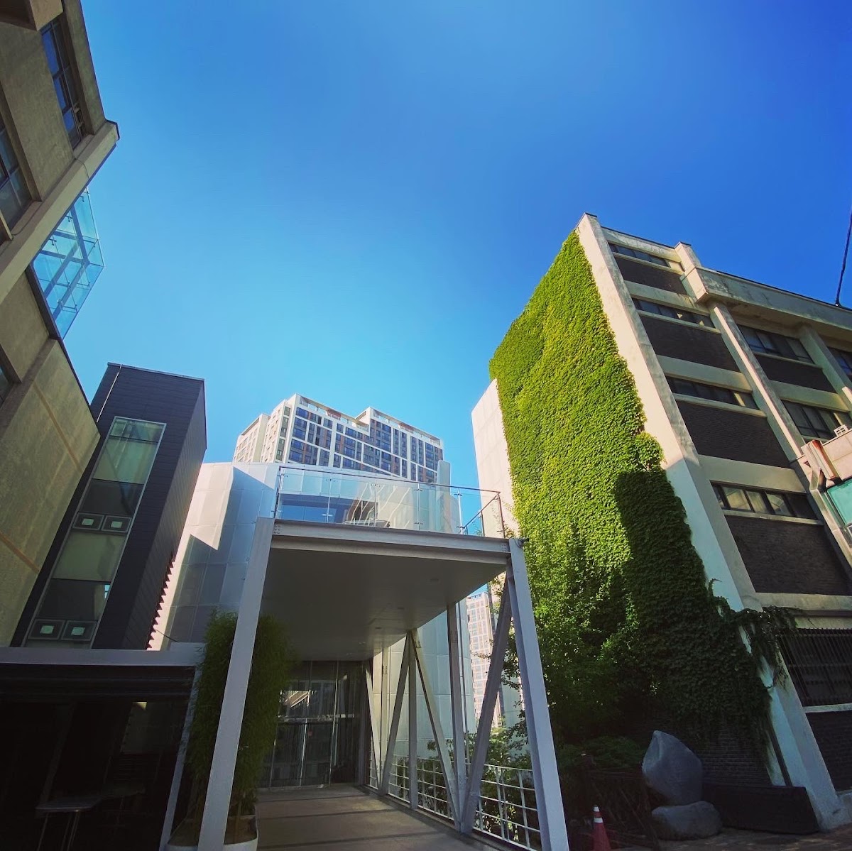 Yuhan University photo 7