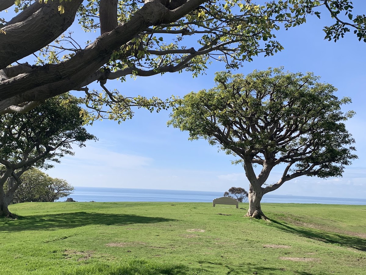 Pepperdine University photo 5