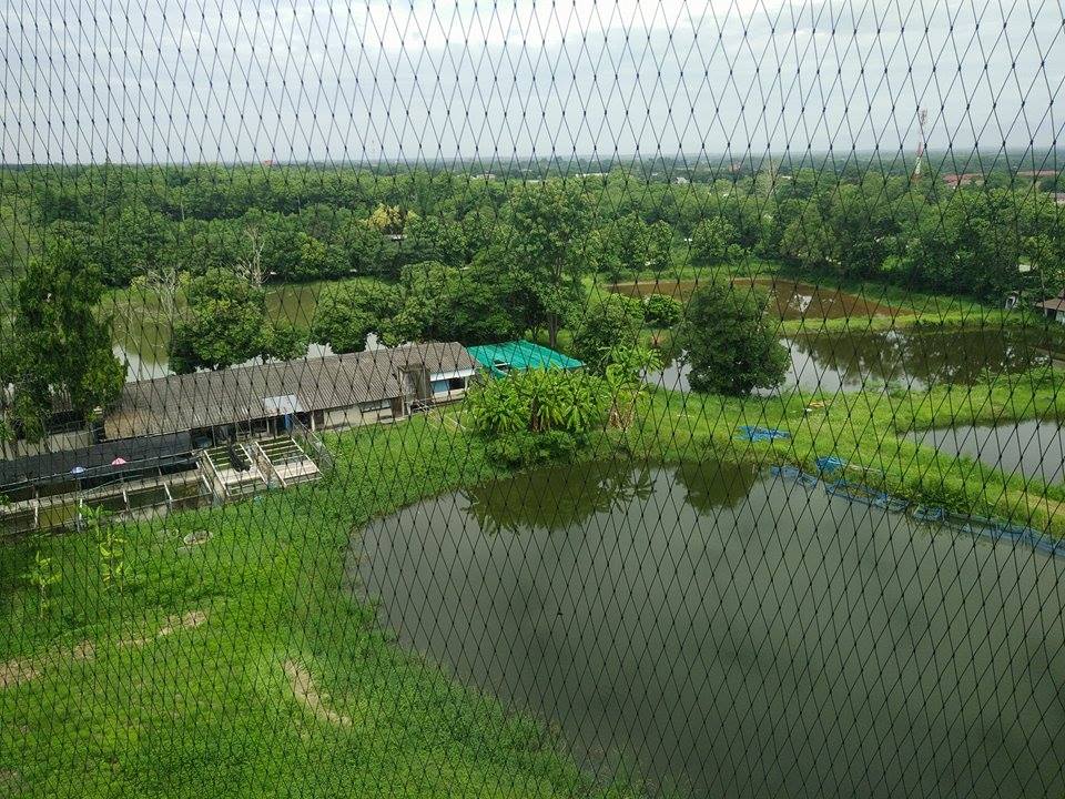 Rajamangala University of Technology Lanna photo 7