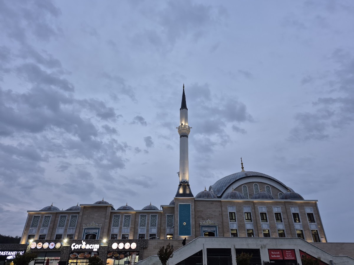 Düzce University photo 6