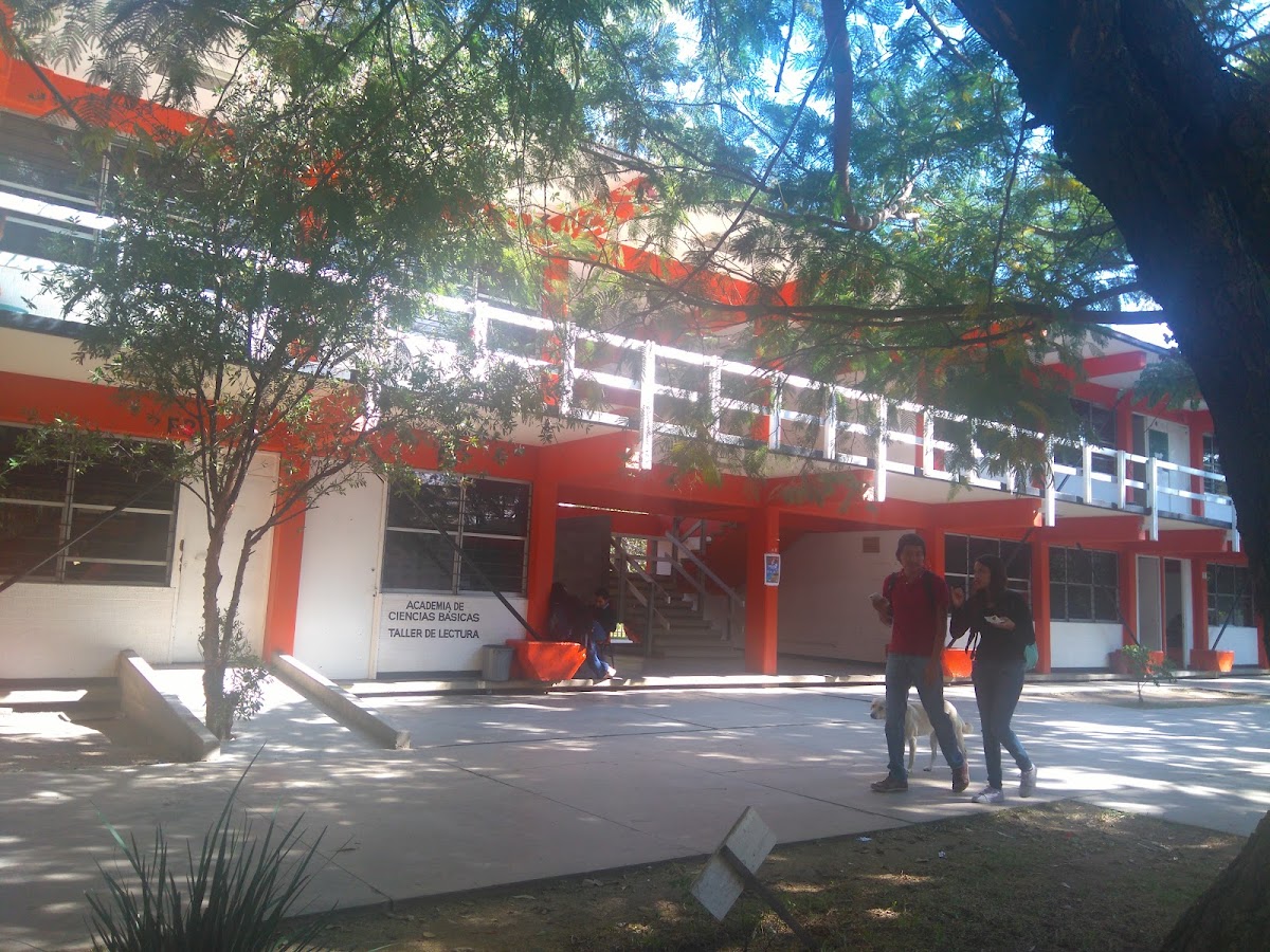 Technological Institute of Oaxaca photo 4