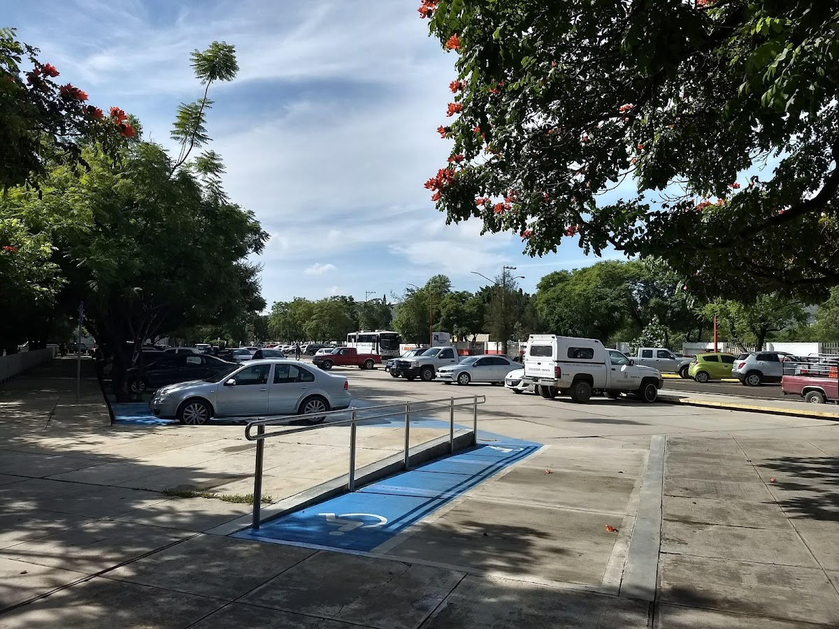 Technological Institute of Oaxaca photo 5