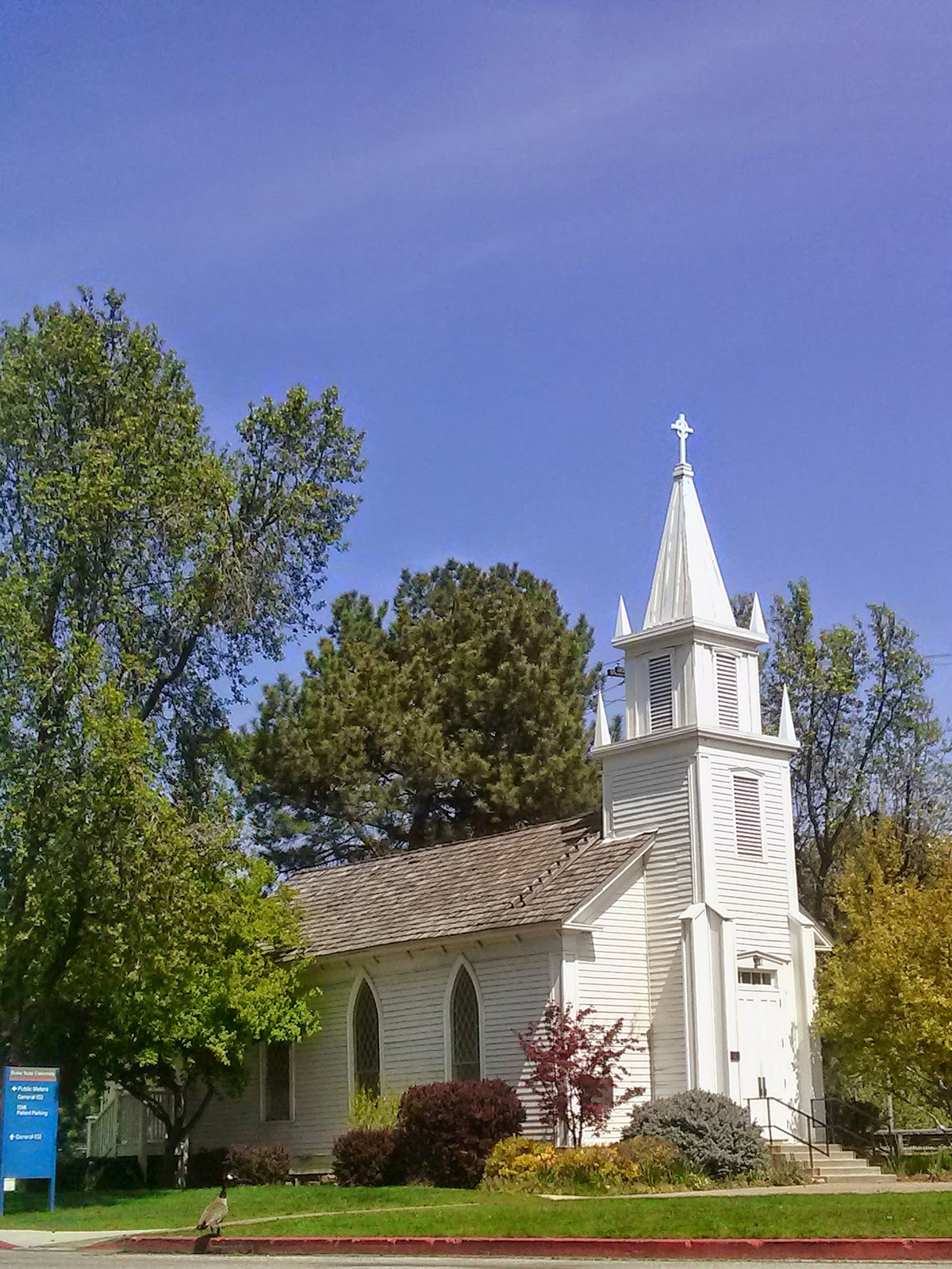Boise State University photo 8