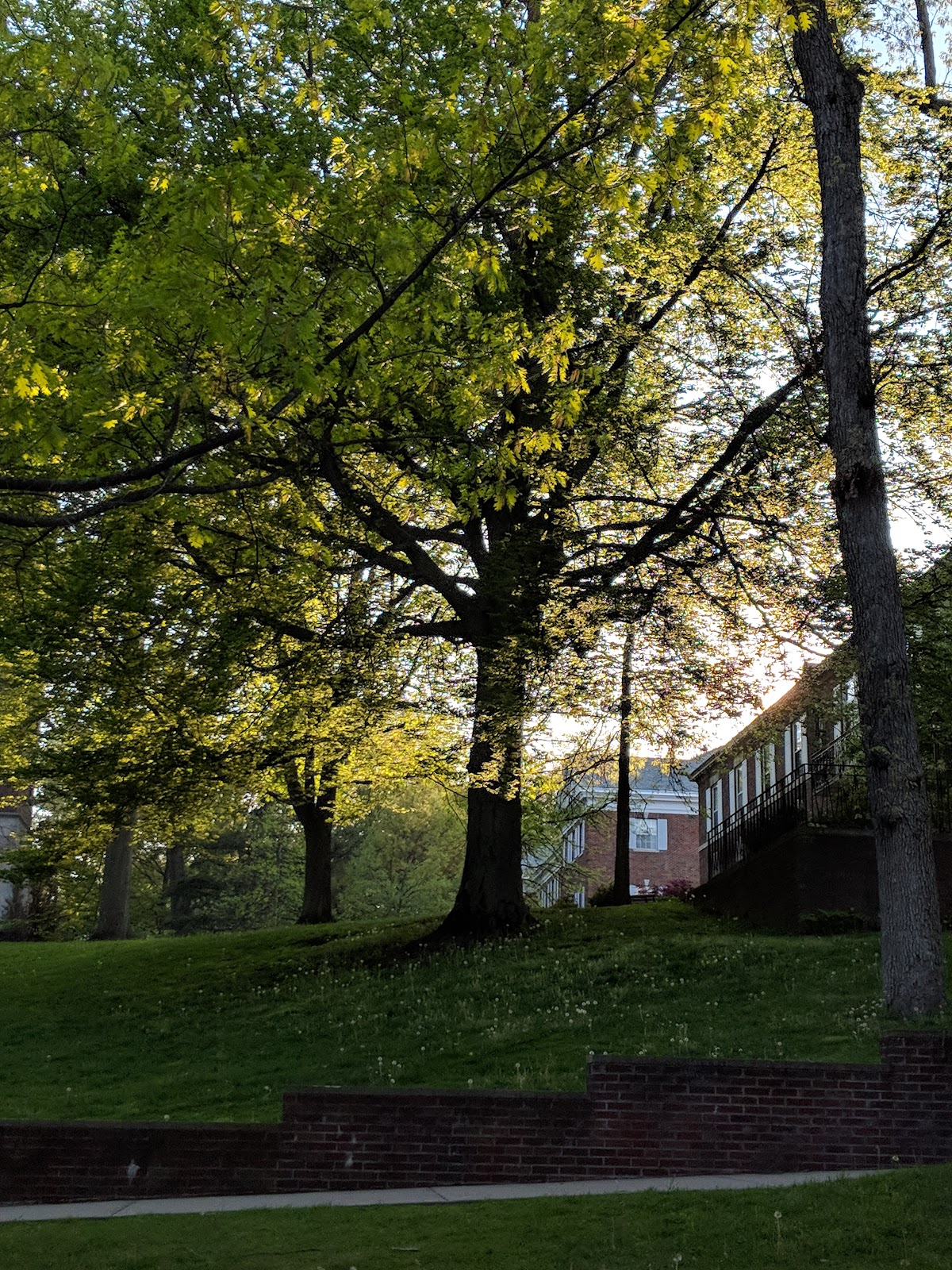 Kalamazoo College photo 4