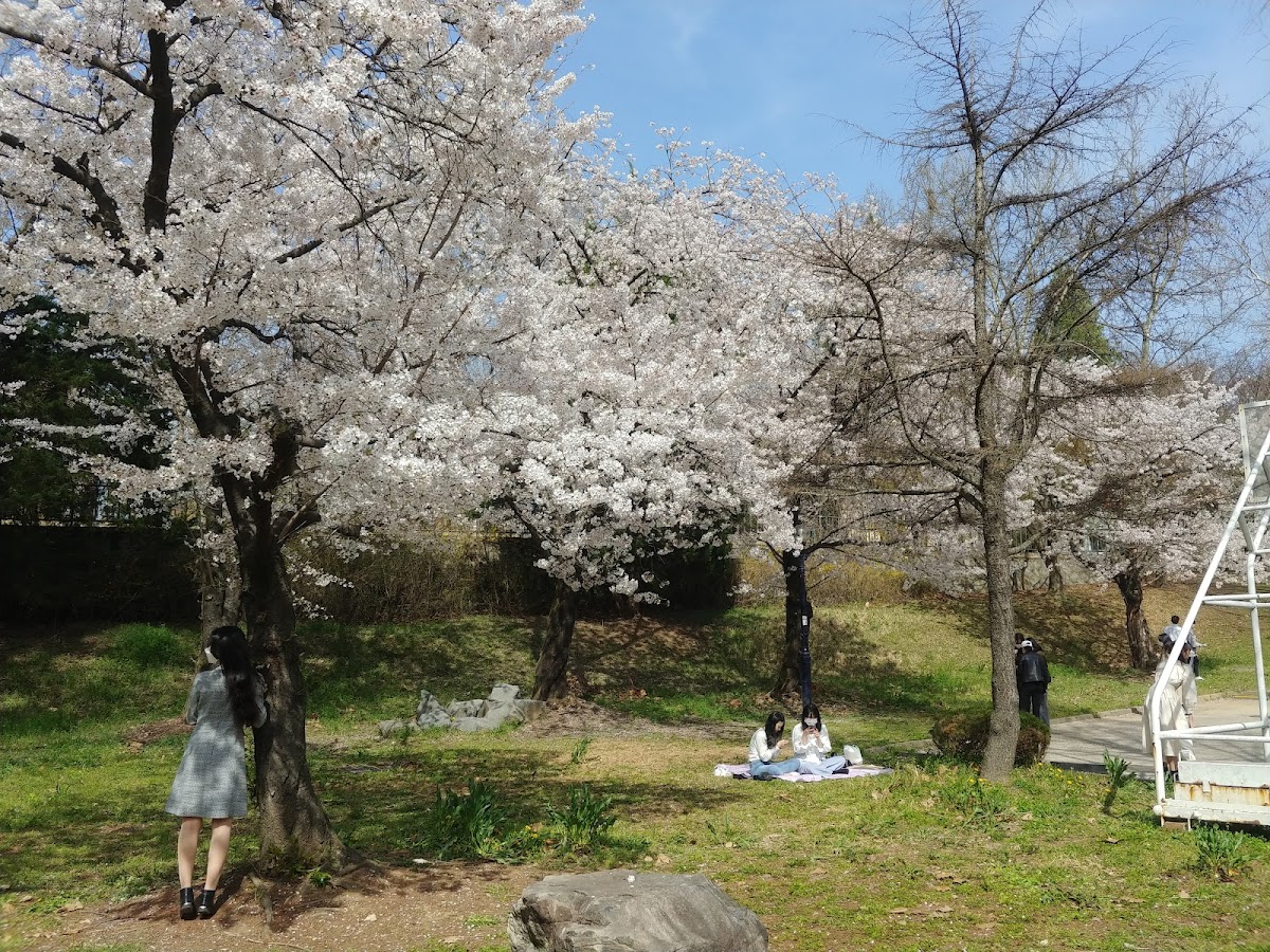 Jeonbuk National University photo 8