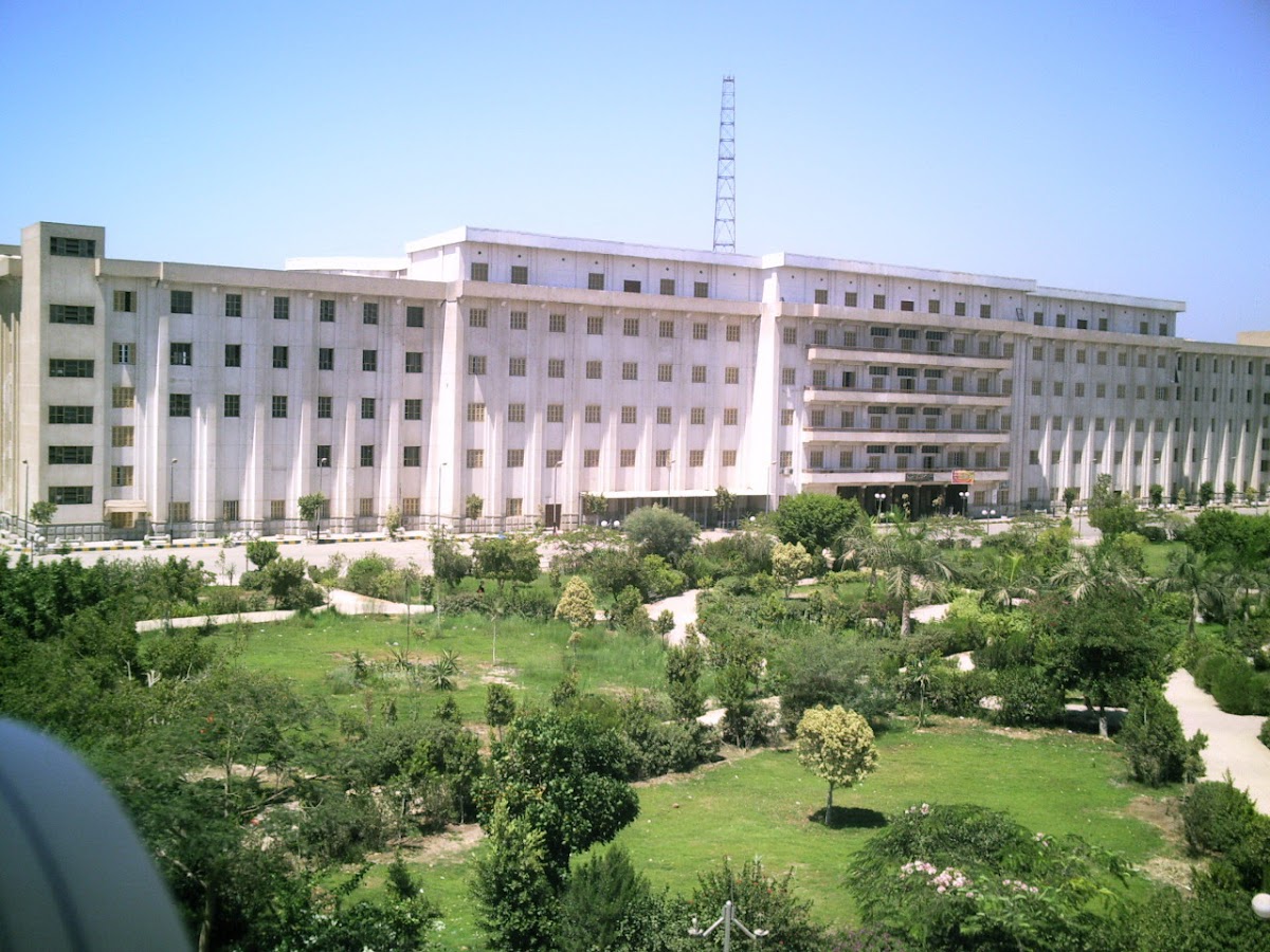 Beni Suef University photo 3
