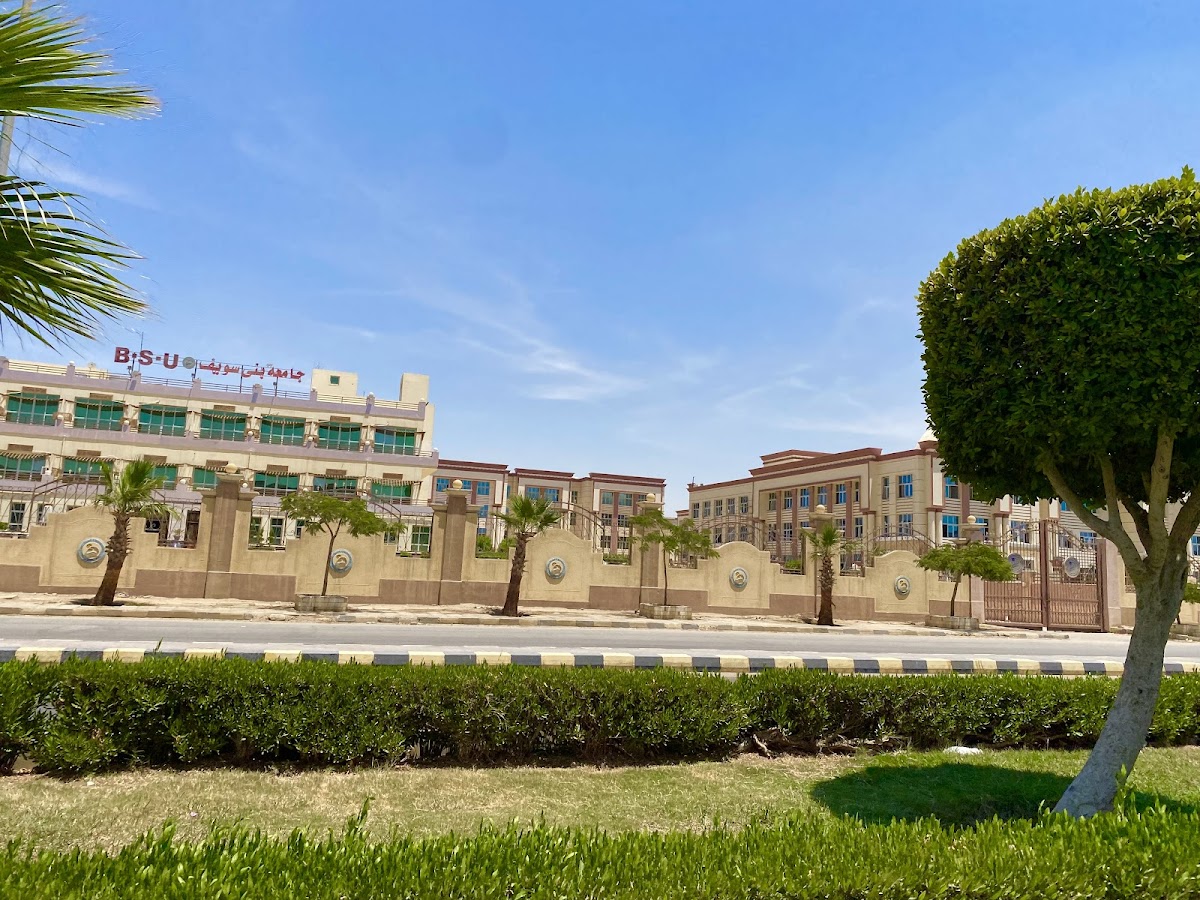 Beni Suef University photo 4