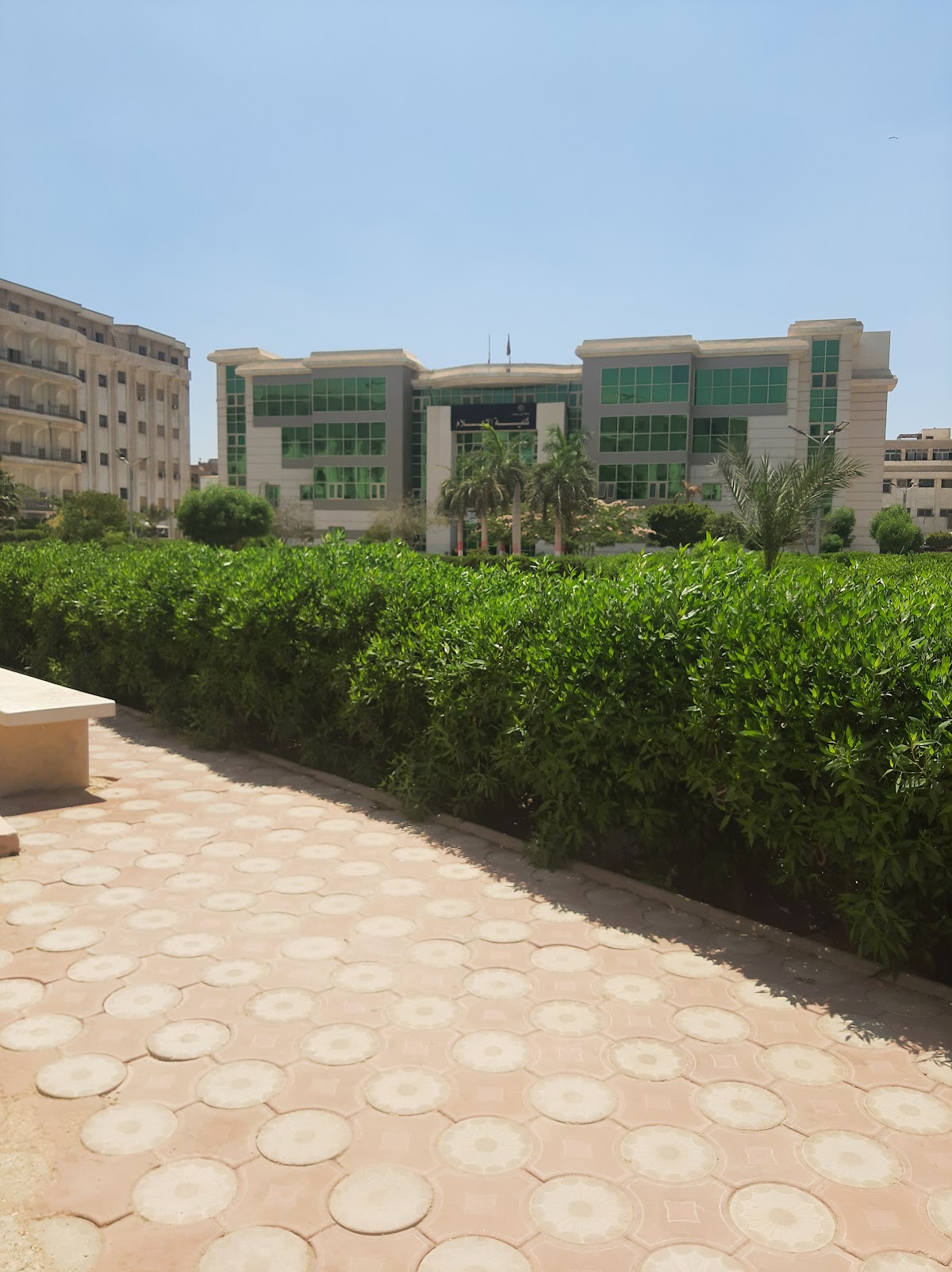 Beni Suef University photo 8