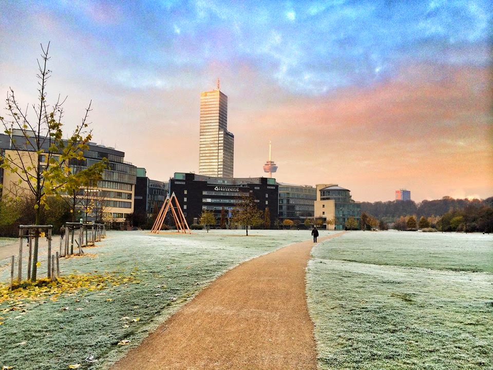 Hochschule Fresenius photo 5