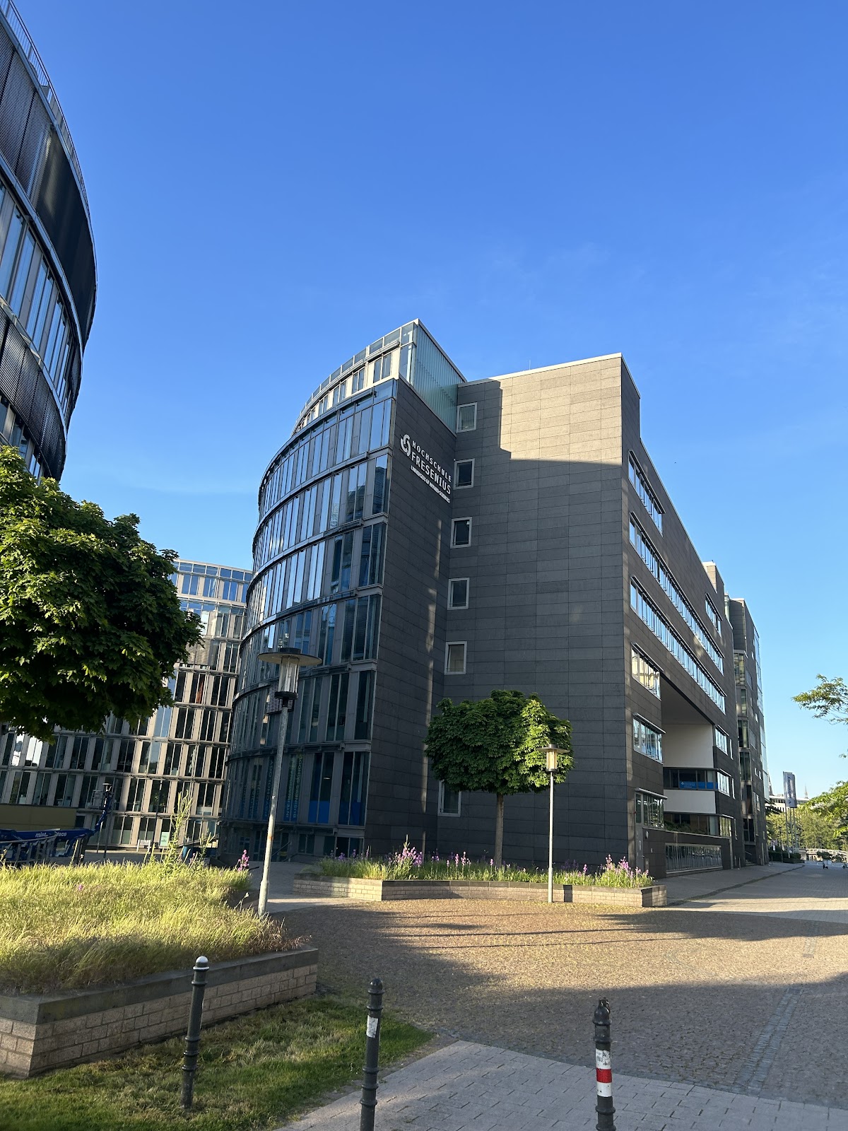 Hochschule Fresenius photo 8