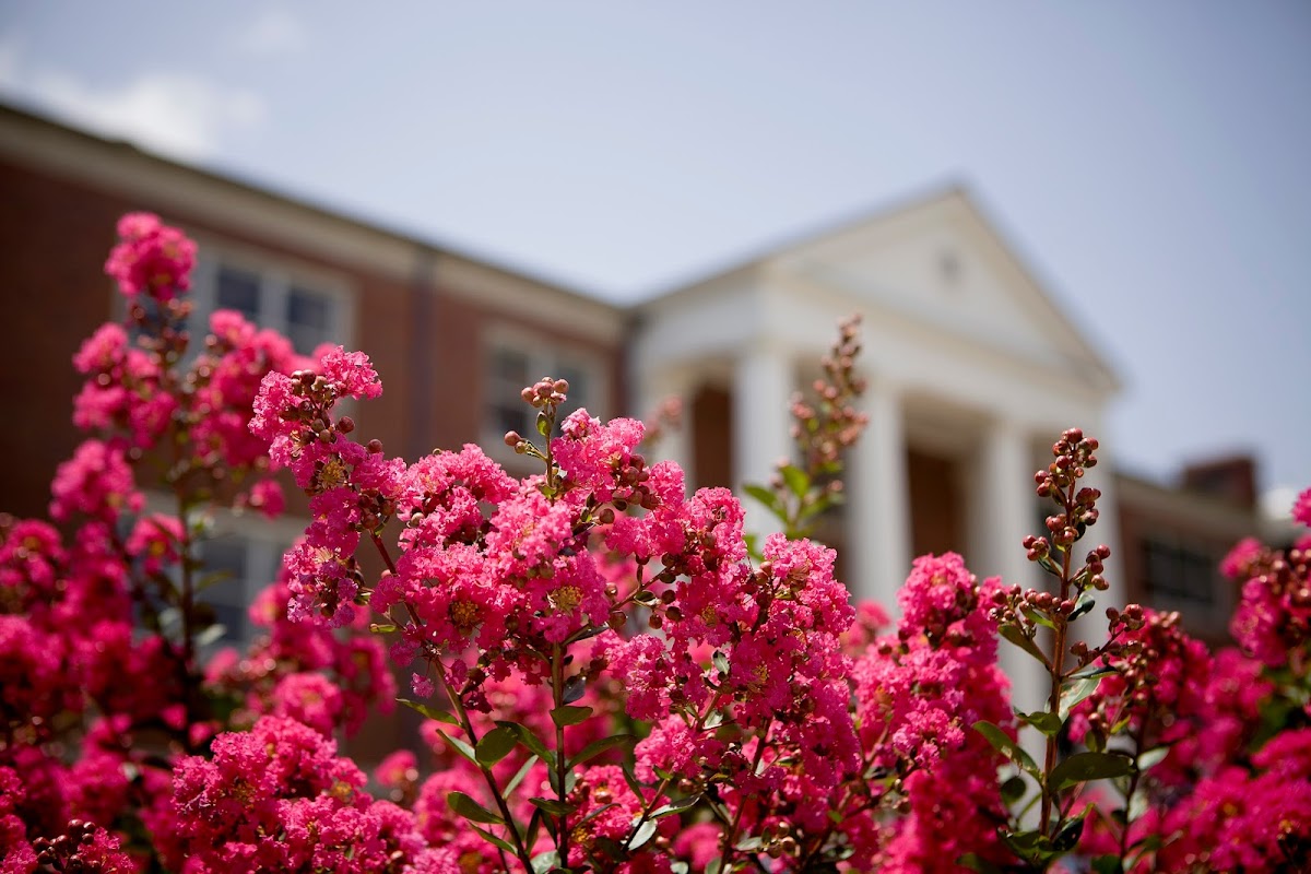 University of Tennessee Martin photo 2