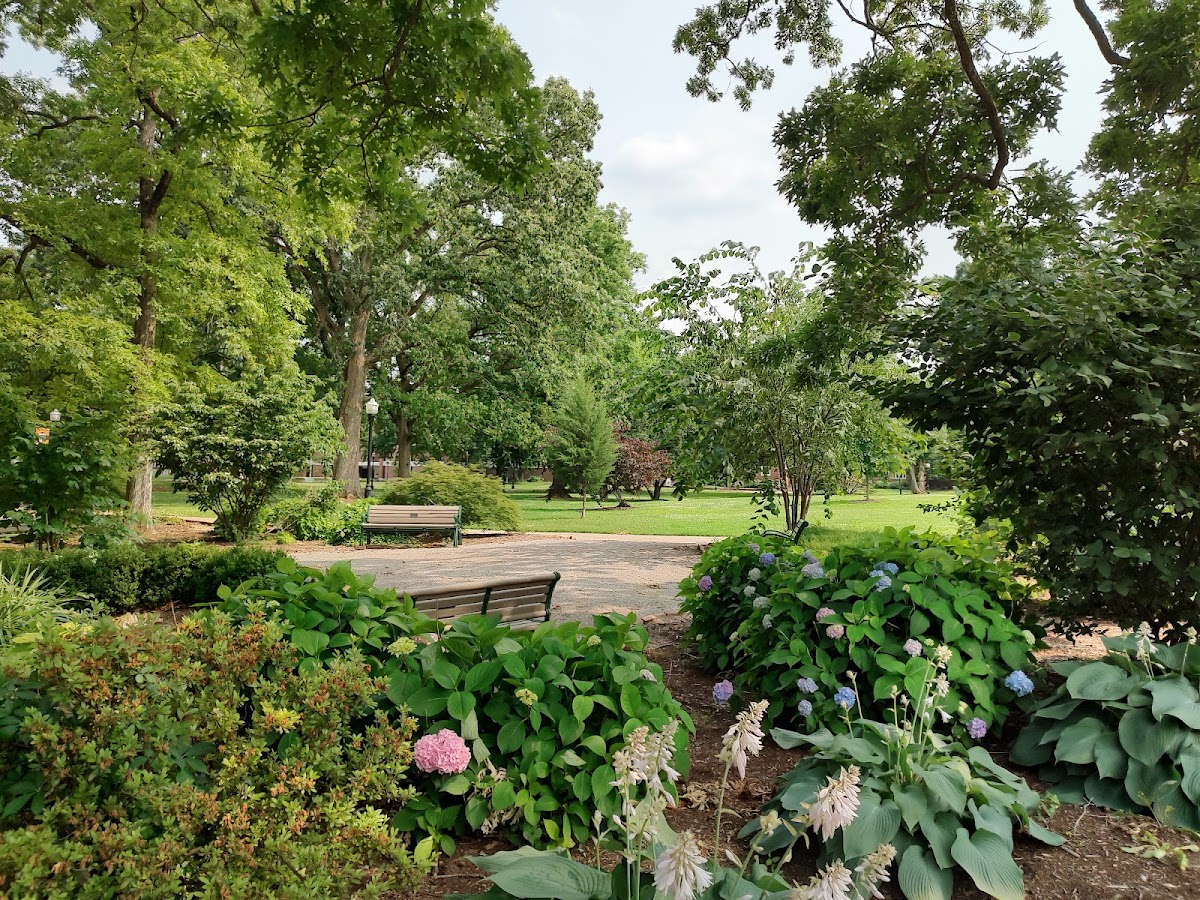 University of Tennessee Martin photo 4