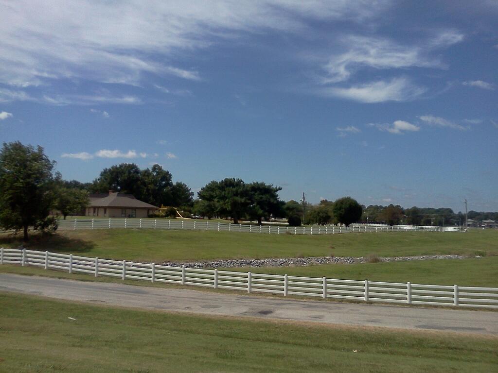 University of Tennessee Martin photo 5