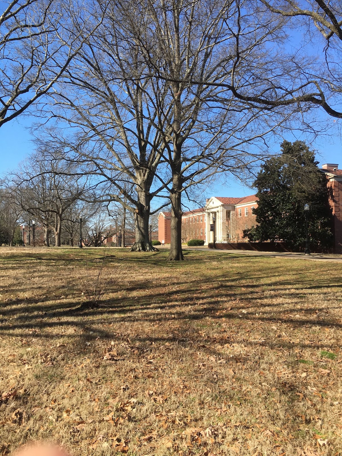 University of Tennessee Martin photo 9