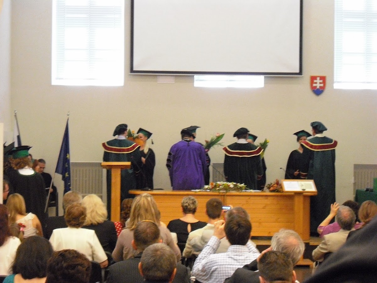 St. Elizabeth University of Health and Social Work photo 2