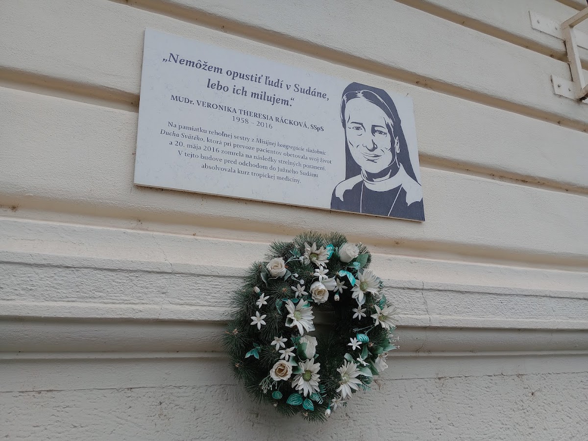 St. Elizabeth University of Health and Social Work photo 3