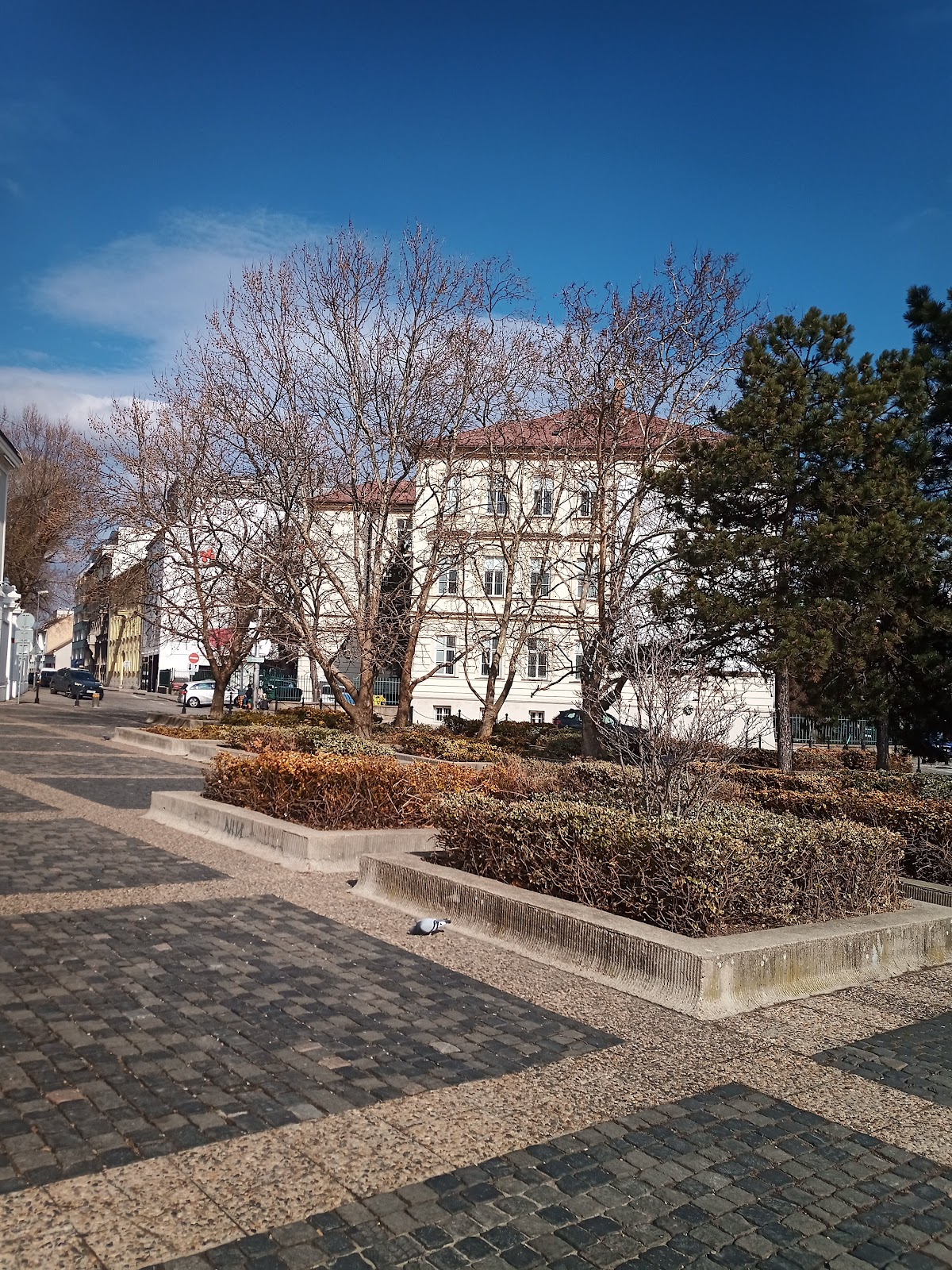 St. Elizabeth University of Health and Social Work photo 7