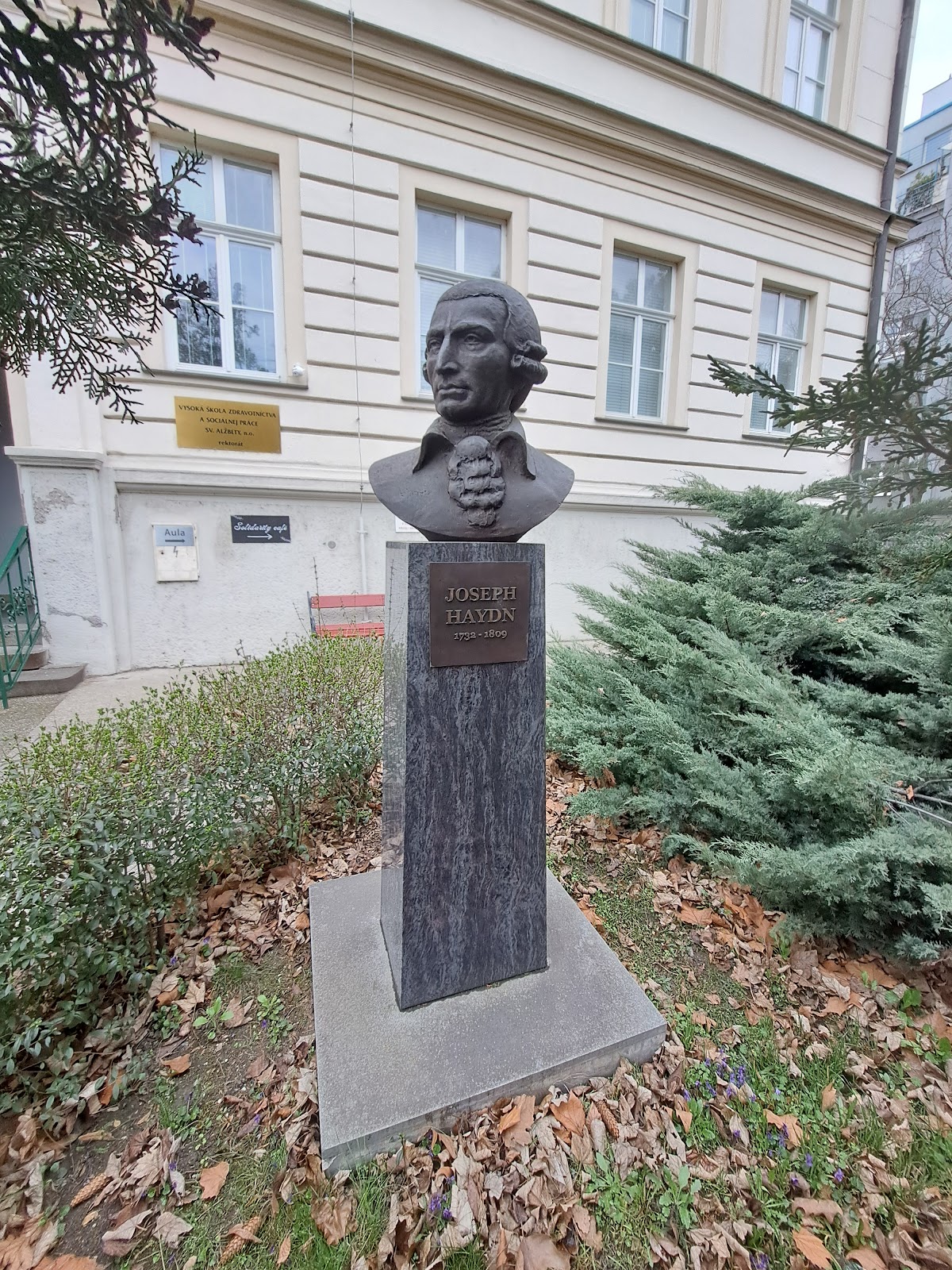 St. Elizabeth University of Health and Social Work photo 8