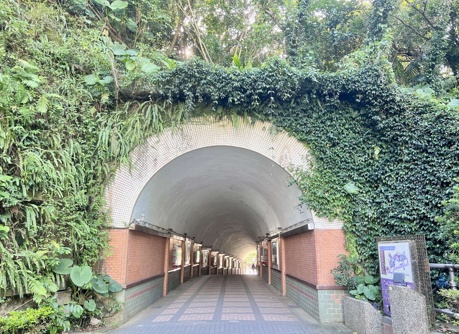  Shih Hsin University