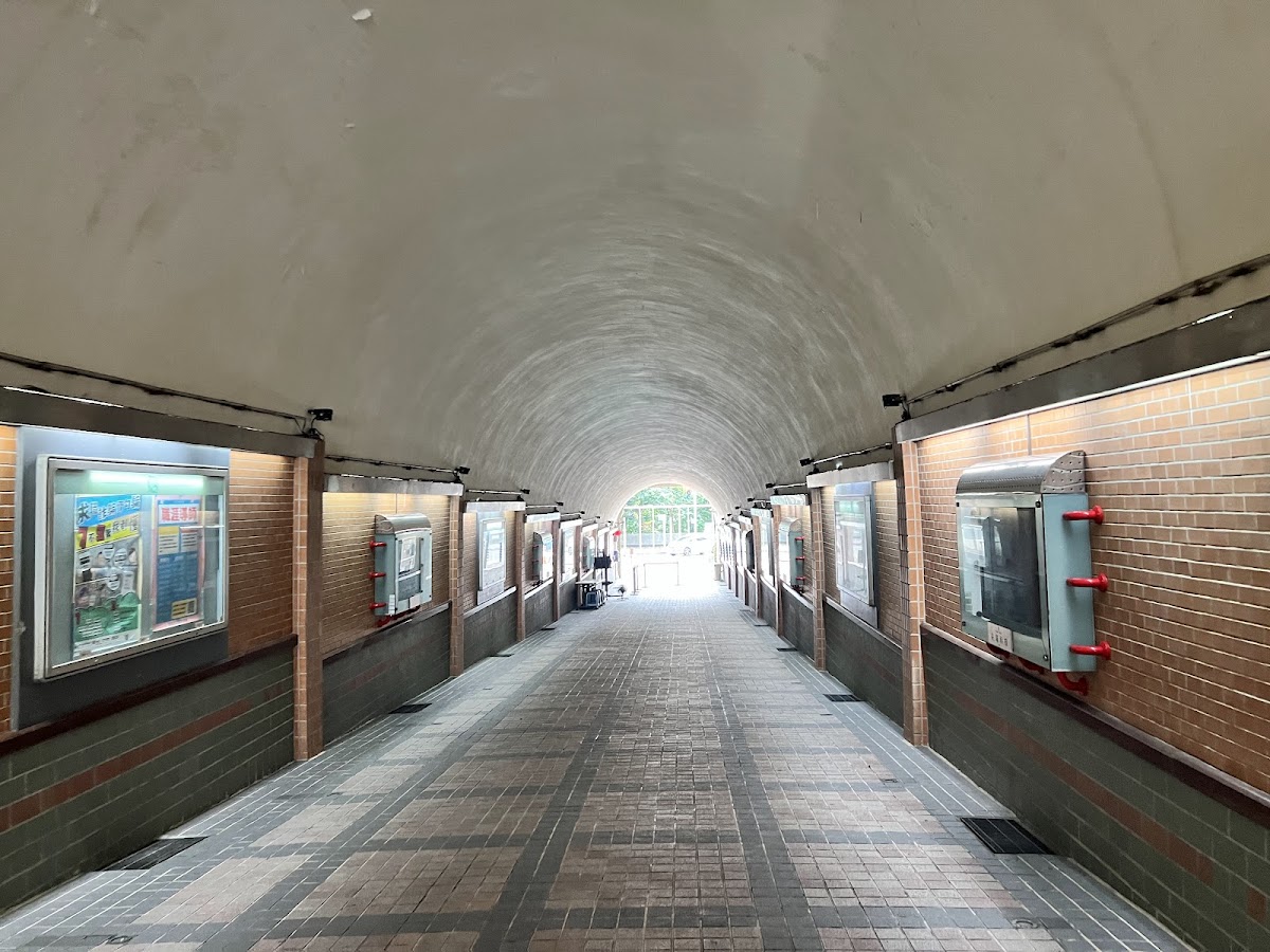 Shih Hsin University photo 2