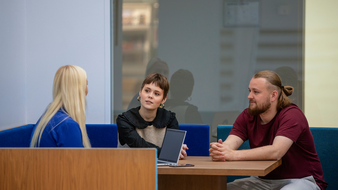 UCN University College of Northern Denmark