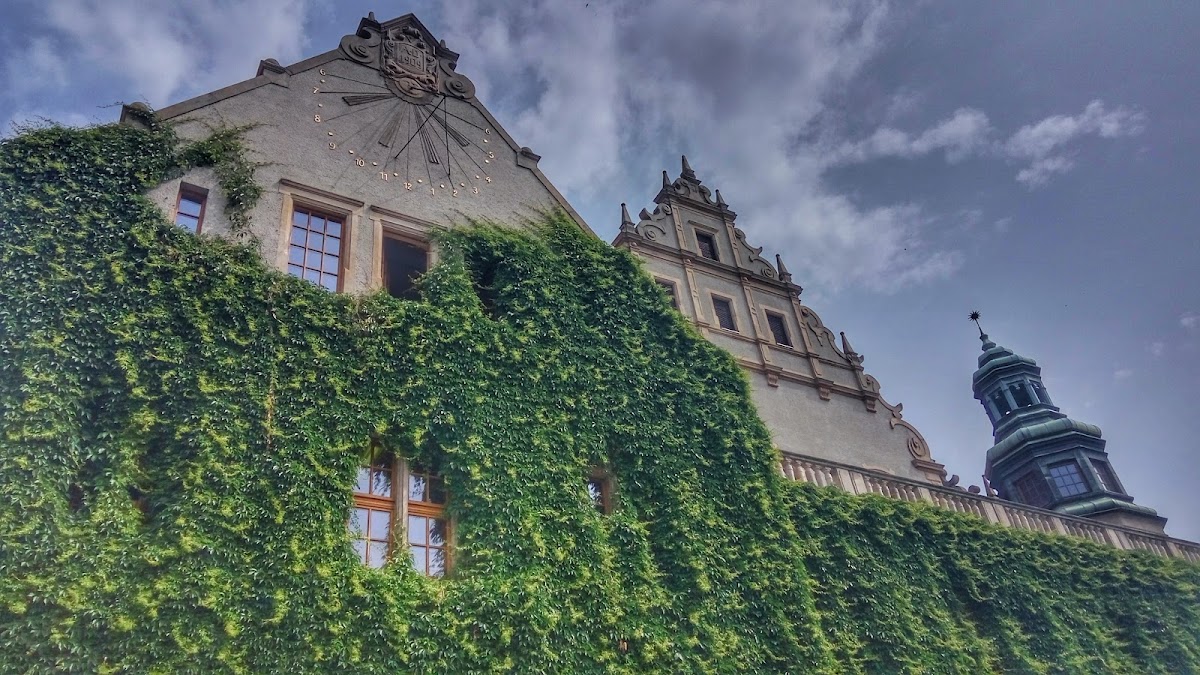 Adam Mickiewicz University, Poznań photo 1