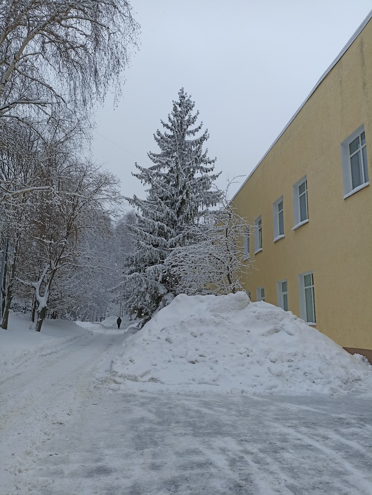 Penza State University photo 6