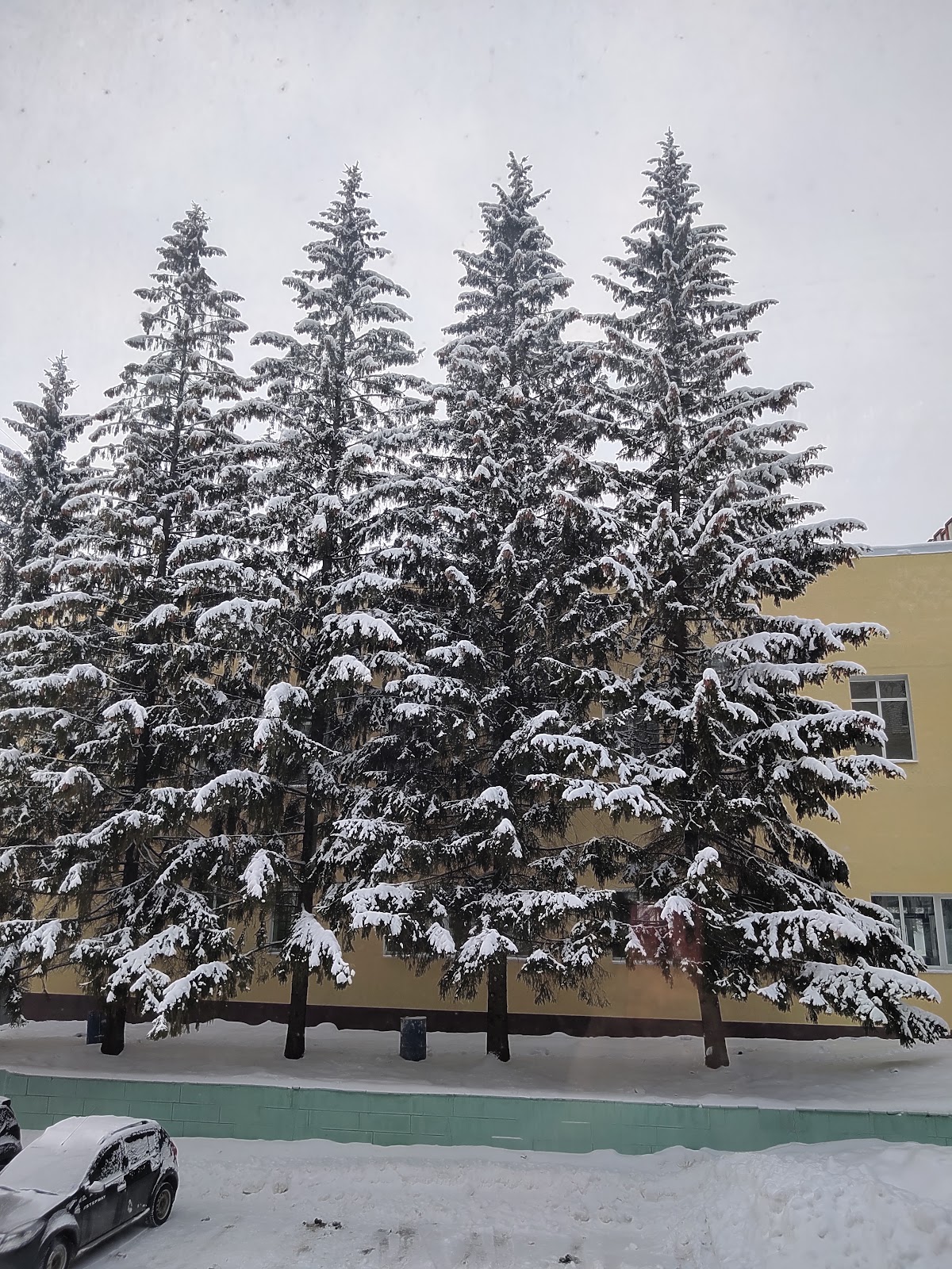 Penza State University photo 8