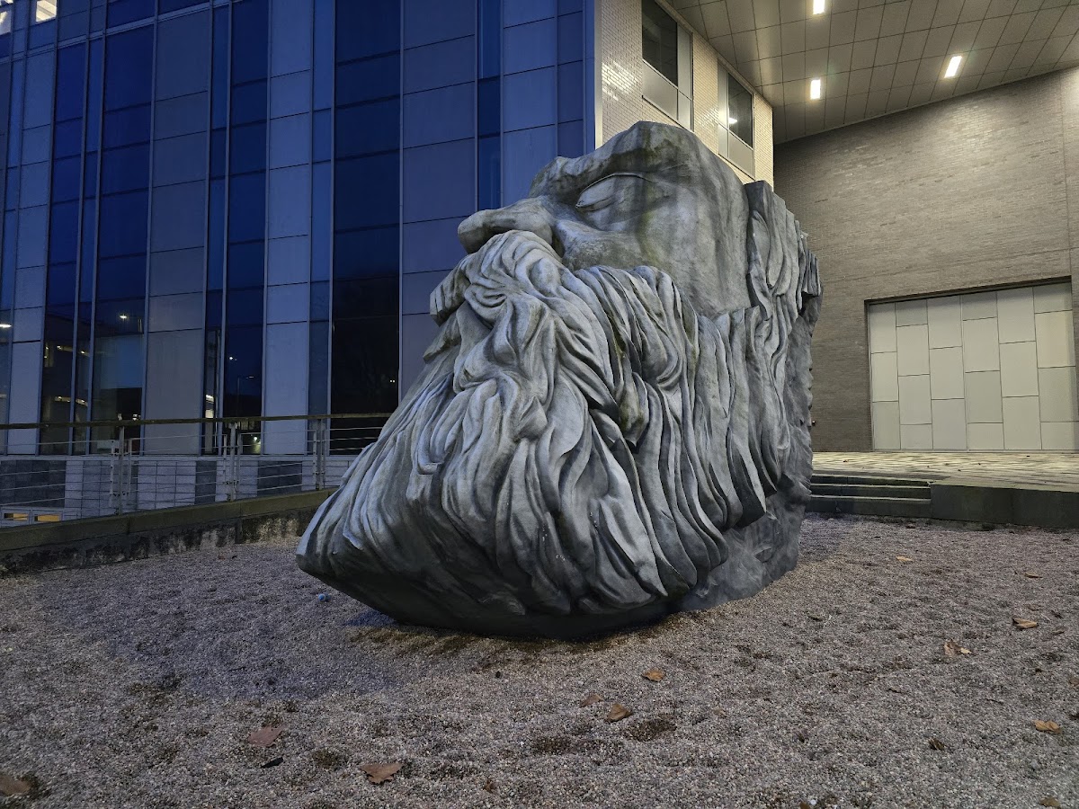 University of Salford photo 7