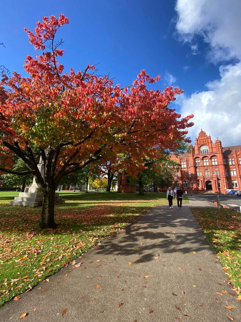 University of Salford photo 9