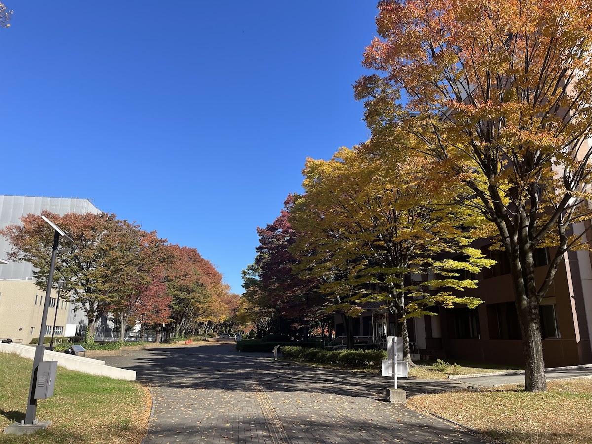 Gunma University photo 2
