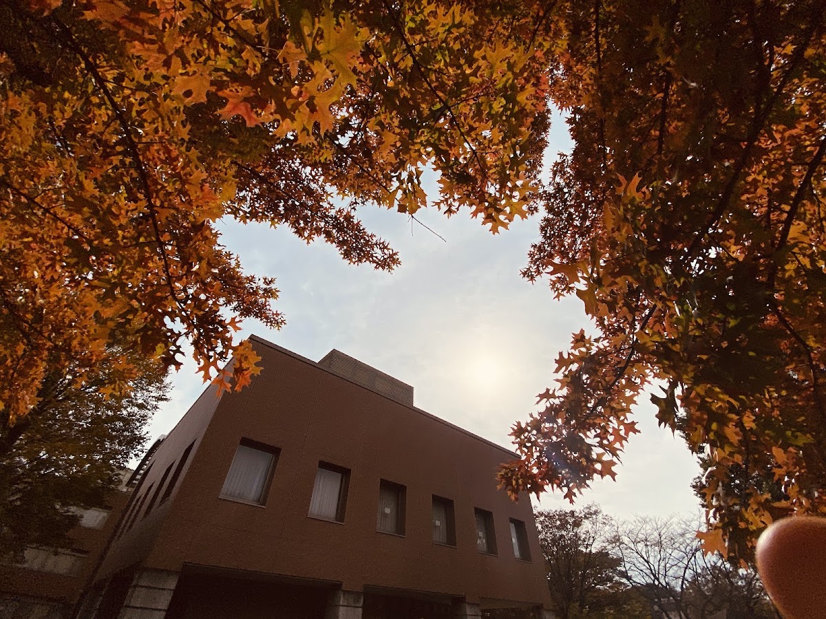 Gunma University photo 5