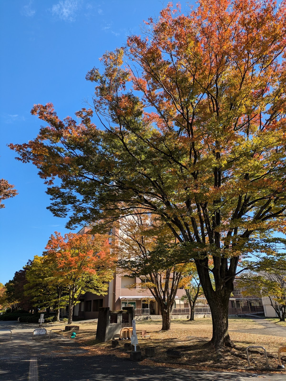 Gunma University photo 6