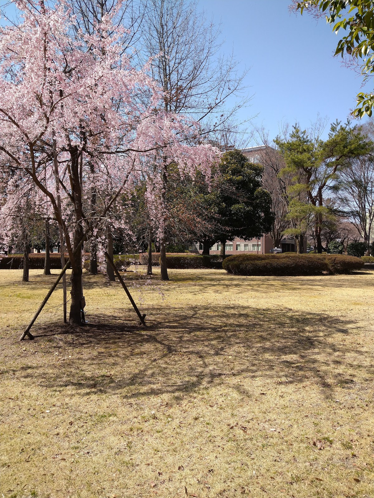 Gunma University photo 8