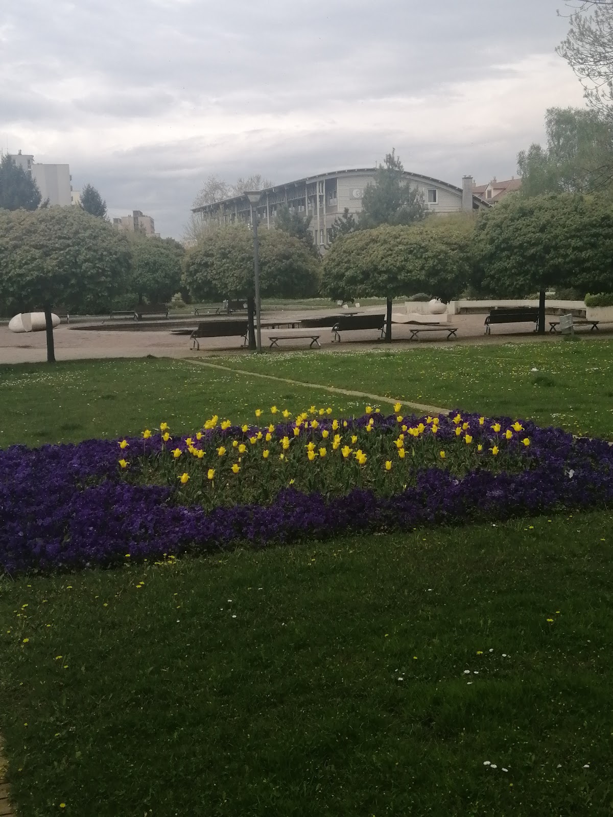 University of Dunaújváros photo 8