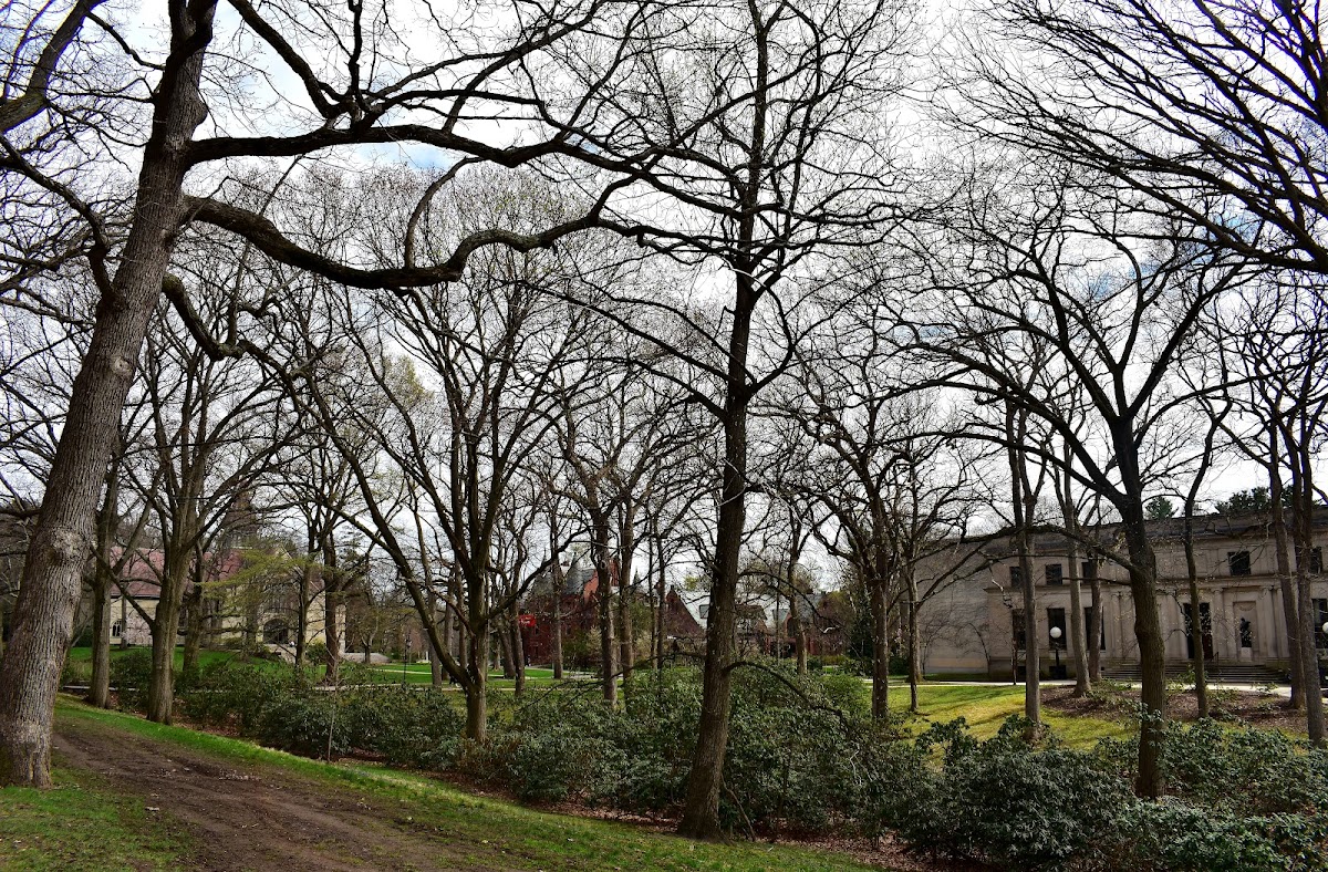 Wellesley College photo 2