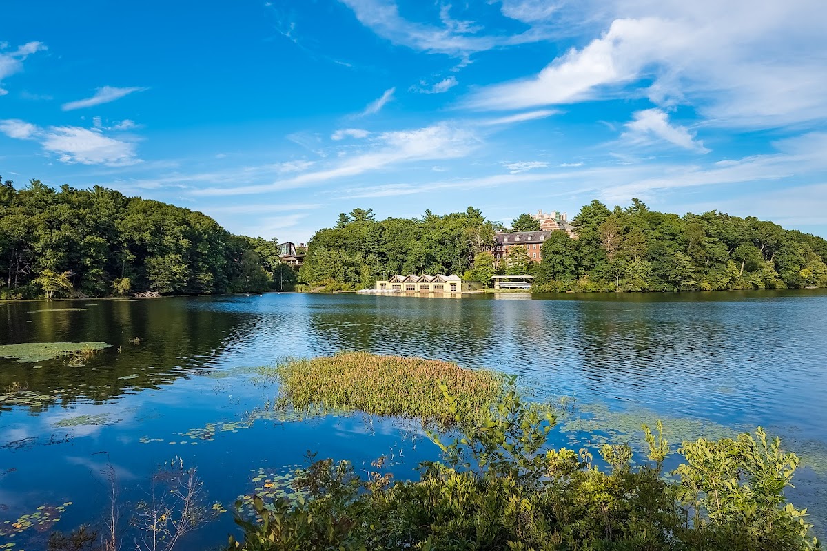 Wellesley College photo 4